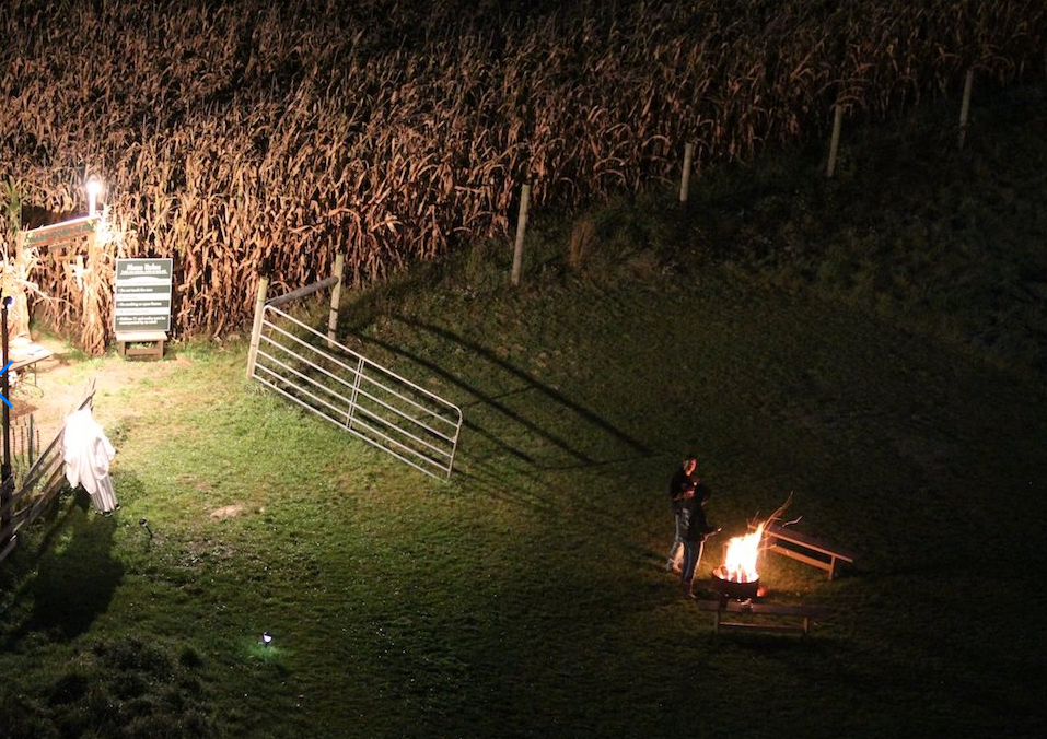 Noah's Ark Corn Maze